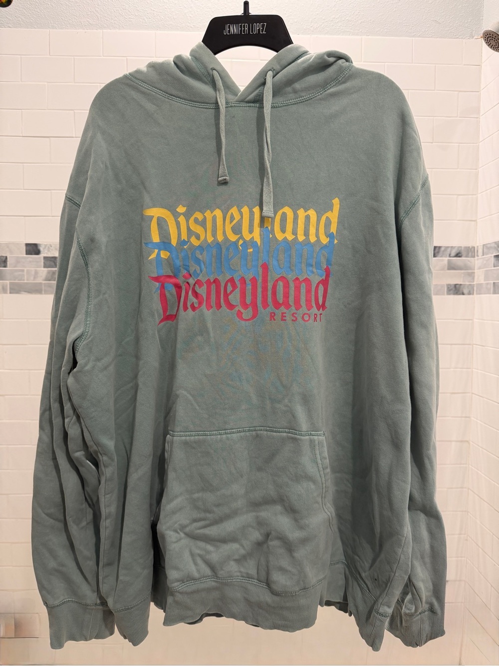 Disney Disneyland Resort hoodie Graphic Hoodie XXL Sage Green Good